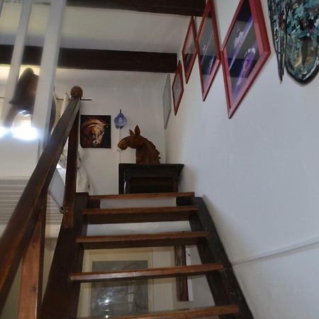 Gites Chambres D'Hotes Mazet Du Marechal Ferrant Saintes-Maries-de-la-Mer Exteriör bild