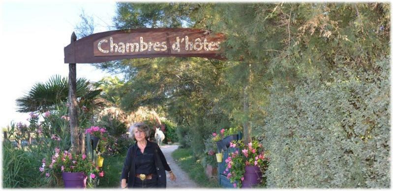 Gites Chambres D'Hotes Mazet Du Marechal Ferrant Saintes-Maries-de-la-Mer Exteriör bild