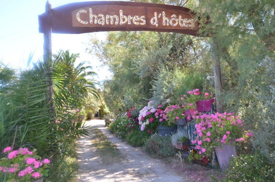 Gites Chambres D'Hotes Mazet Du Marechal Ferrant Saintes-Maries-de-la-Mer Exteriör bild