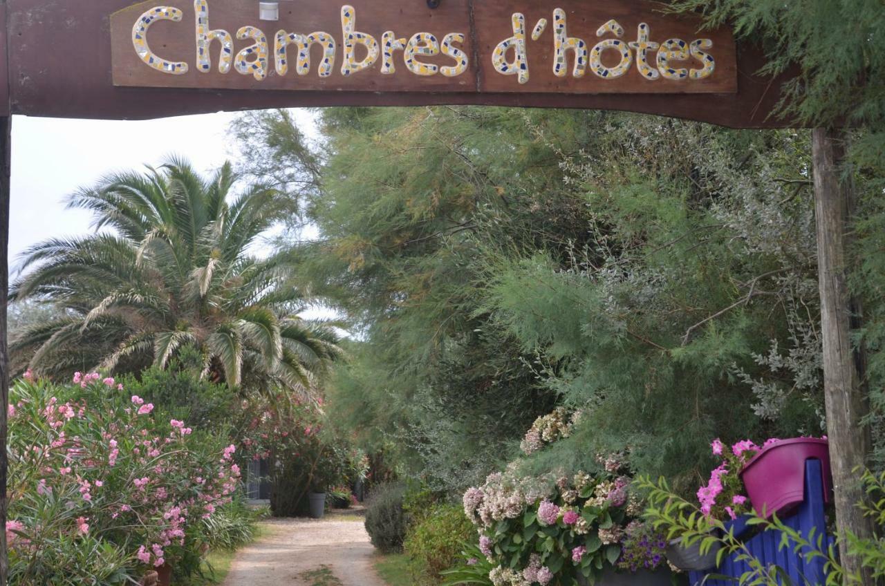 Gites Chambres D'Hotes Mazet Du Marechal Ferrant Saintes-Maries-de-la-Mer Exteriör bild