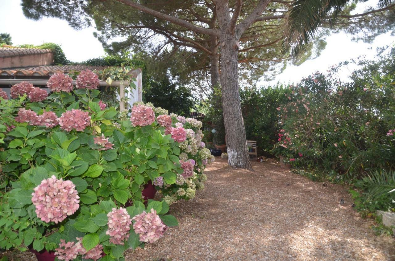 Gites Chambres D'Hotes Mazet Du Marechal Ferrant Saintes-Maries-de-la-Mer Exteriör bild